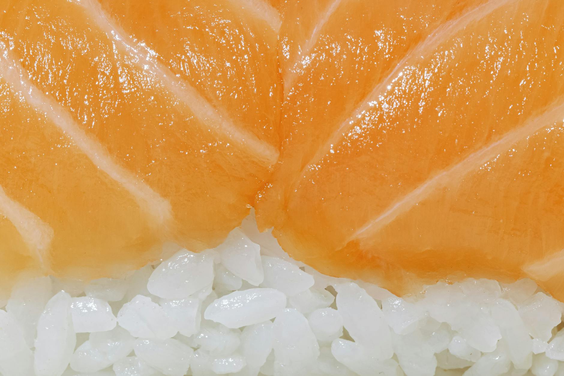 Nigiri — Lachs, perfekt auf Reis gebettet